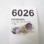 677 6026 Örhängen